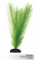 Шелковое растение Barbus Амбулия 20 см. - фото 28772