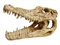 ArtUniq Crocodile Skull - Искусственная декорация "Череп крокодила" - фото 28923