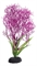 Пластиковое растение Barbus Горгонария сиреневая 10 см. - фото 29001