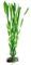 Пластиковое растение Barbus Валиснерия спиральная 30 см. - фото 29006